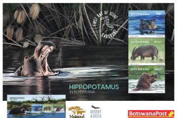 Hippo Stamp Release